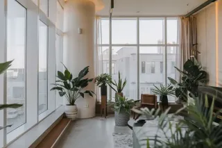 Un salon moderne et lumineux avec de grandes fenêtres et des plantes vertes en pots.