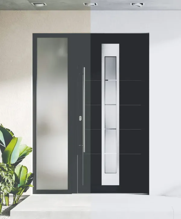 Porte contemporaine mi-vitrée avec cadre noir et panneau latéral, intégrée dans une entrée moderne avec des plantes vertes.