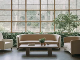 Un salon lumineux avec des fauteuils crème, une table basse orné de plantes vertes en pot, et une grande fenêtre offrant une vue sur le