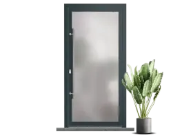 Porte moderne en verre givré avec cadre gris anthracite, accompagnée d'une plante verte en pot à droite.