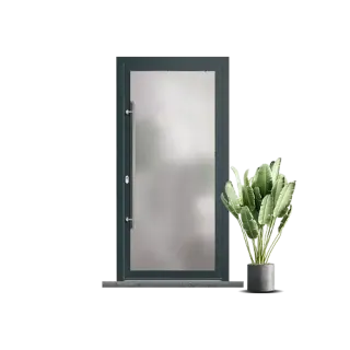 Porte moderne en verre givré avec cadre gris anthracite, accompagnée d'une plante verte en pot à droite.